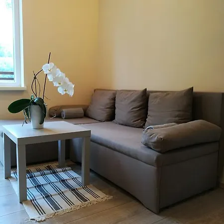 Apartment Belaj Celje Exterior photo