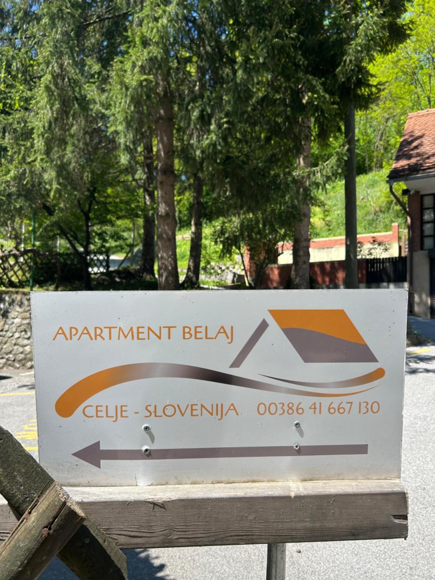 Belaj * Celje